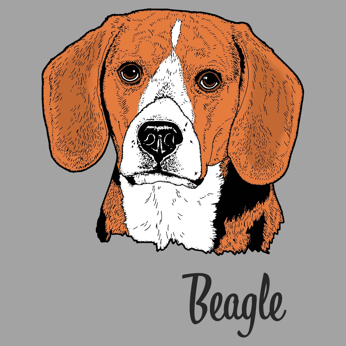 Beagle Headshot - Women's V-Neck T-Shirt