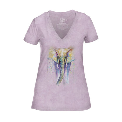 Elephant Colors - Women's Tri-Blend V-Neck T-Shirt