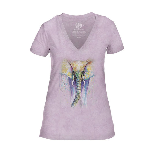 Elephant Colors - Women's Tri-Blend V-Neck T-Shirt