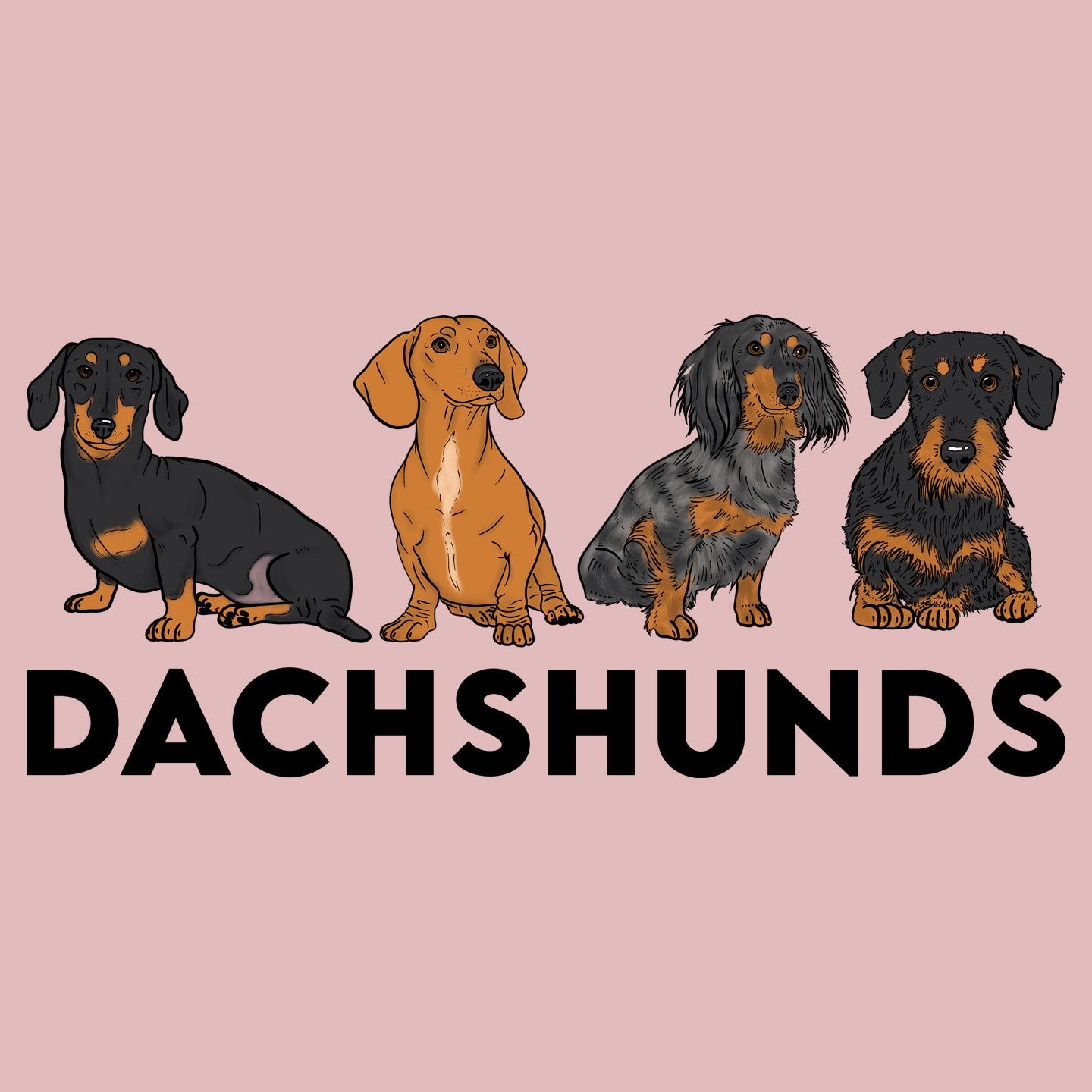 Dachshunds - Women's Fitted T-Shirt