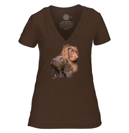 Chocolate Labs - Women's Tri-Blend V-Neck T-Shirt