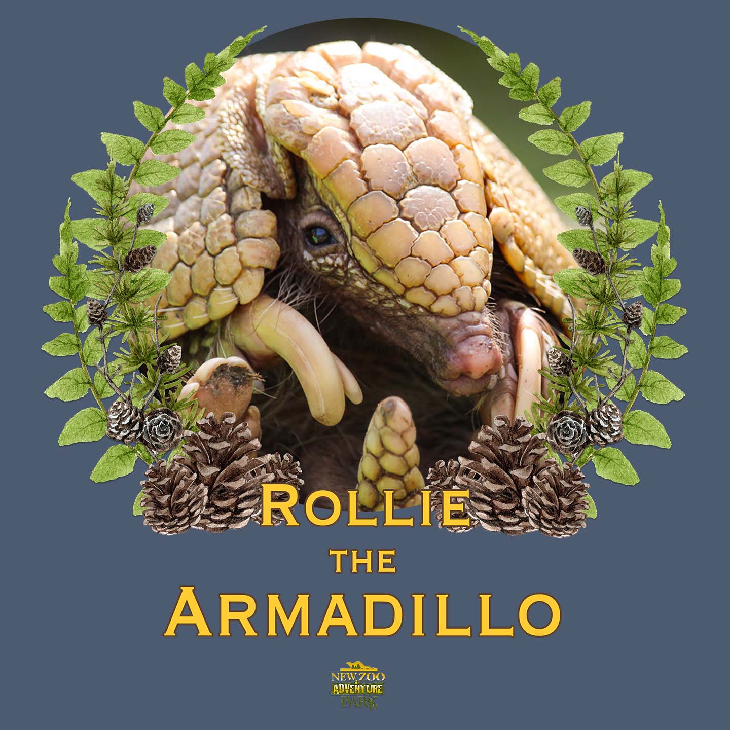 Rollie the Armadillo - Adult Tri-Blend T-Shirt