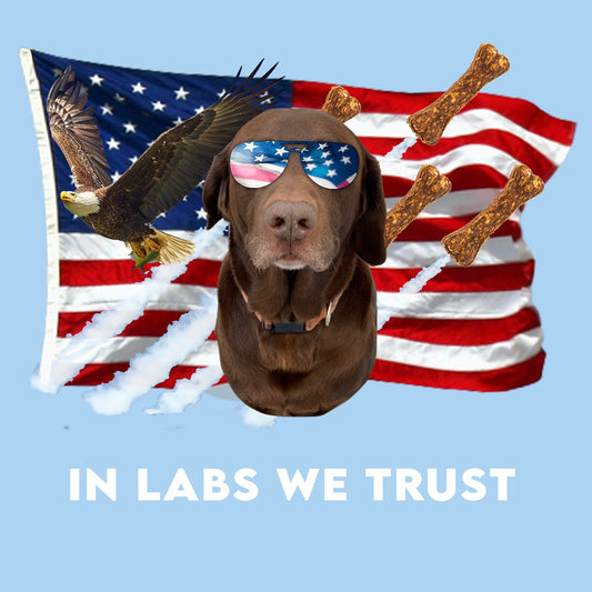 In Lab we Trust Chocolate - Adult Unisex T-Shirt