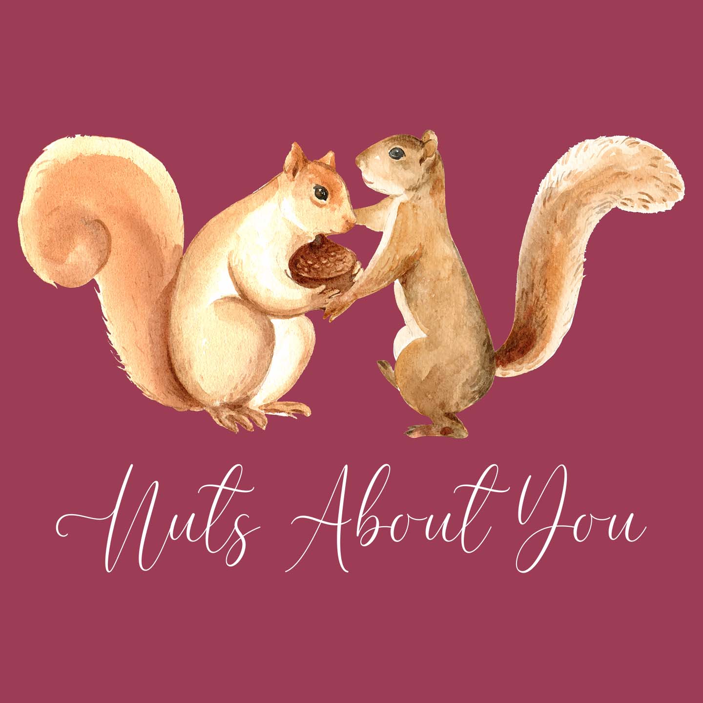 Nuts About You - Adult Unisex Hoodie Sweatshirt