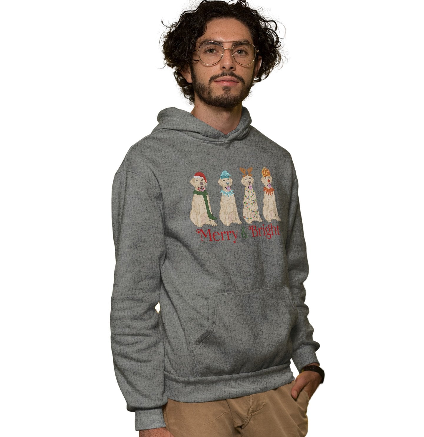 Yellow Lab Christmas Line Up - Adult Unisex Hoodie Sweatshirt