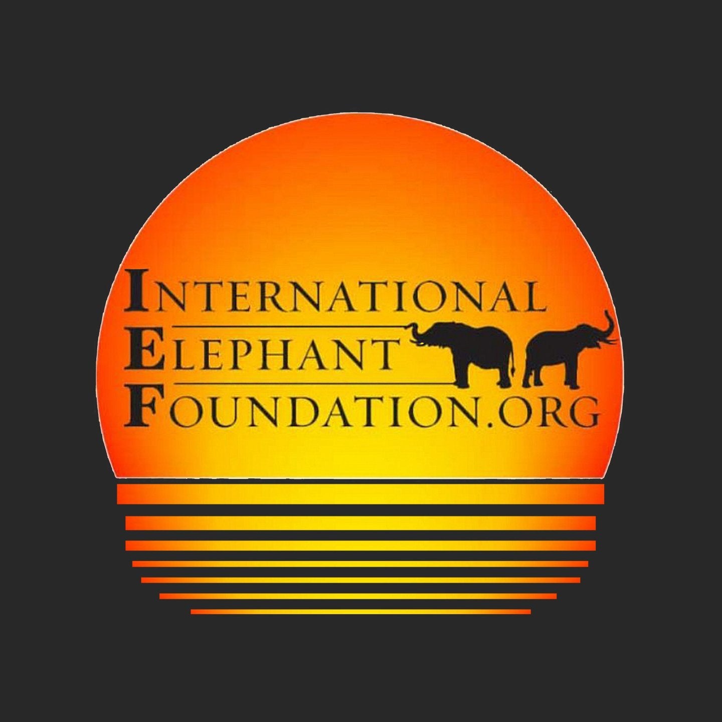 International Elephant Foundation Sunset Logo - Adult Adjustable Face Mask