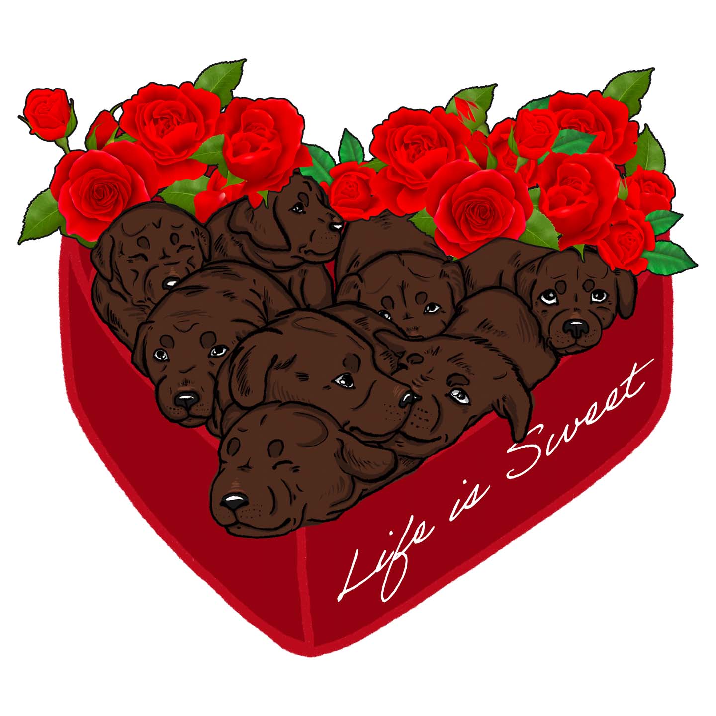 Box of Chocolate Labs - Adult Unisex T-Shirt