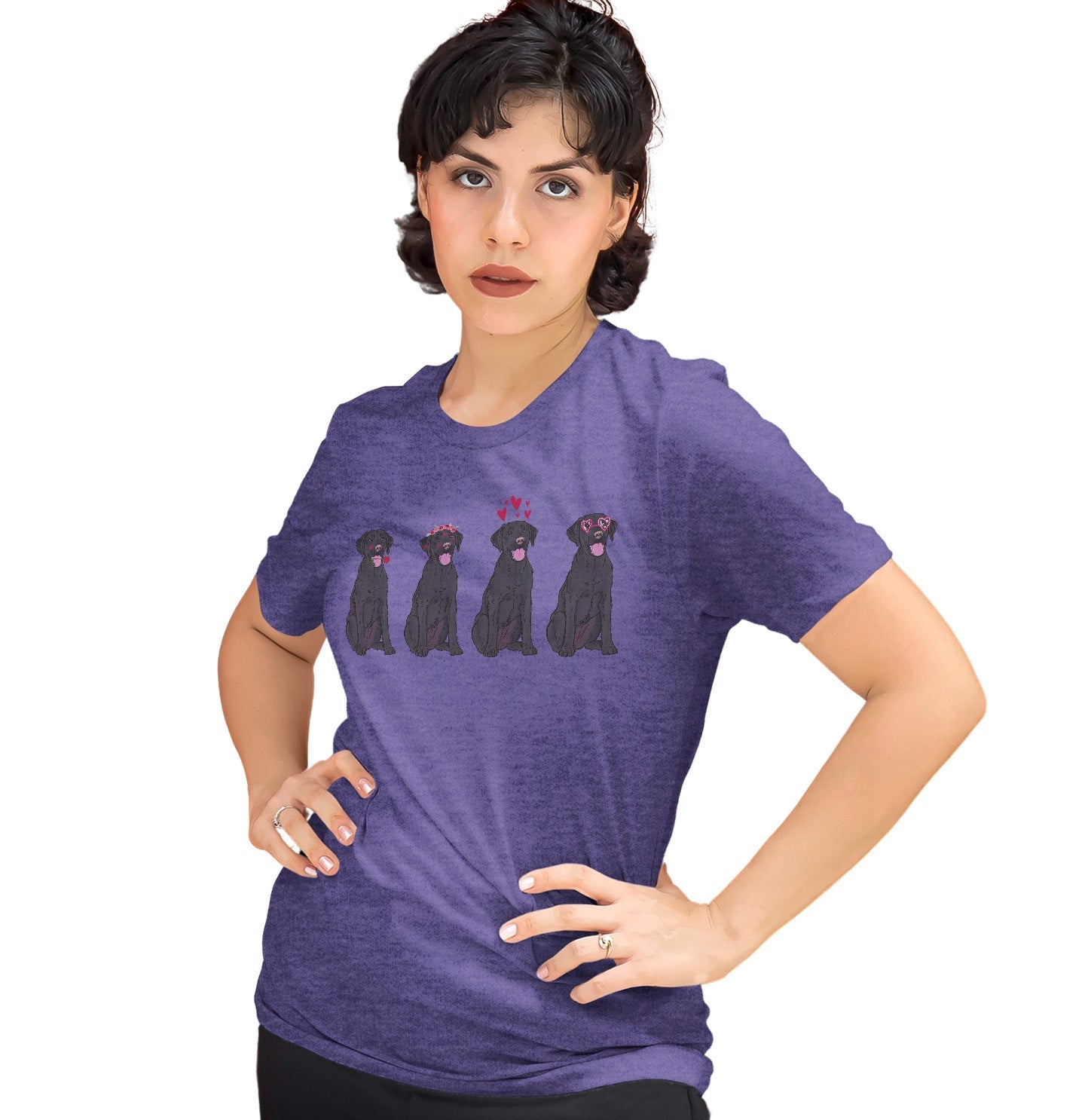 Black Lab Love Line Up - Women's Tri-Blend T-Shirt