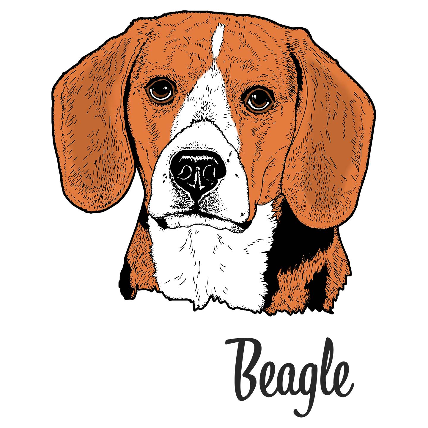 Beagle Headshot - Adult Unisex Hoodie Sweatshirt