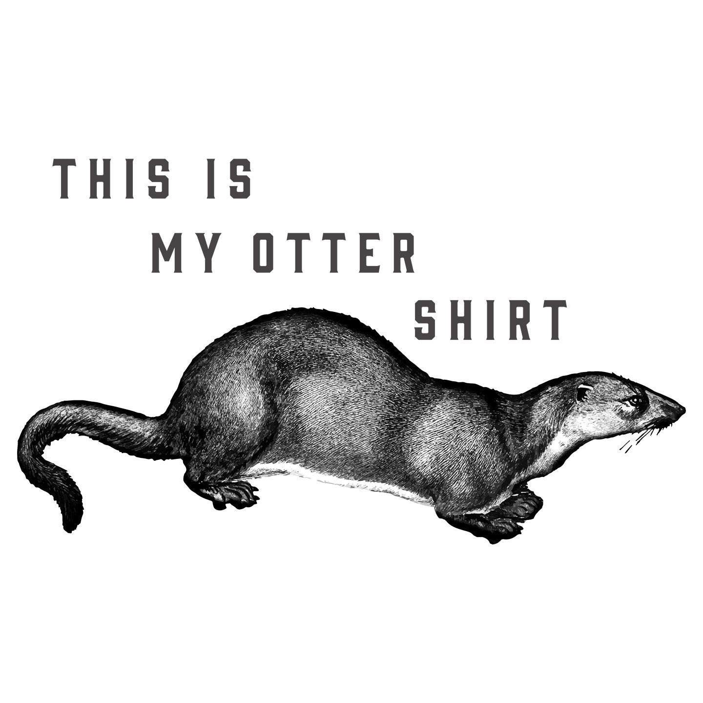 My Otter Shirt - Women's Tri-Blend T-Shirt
