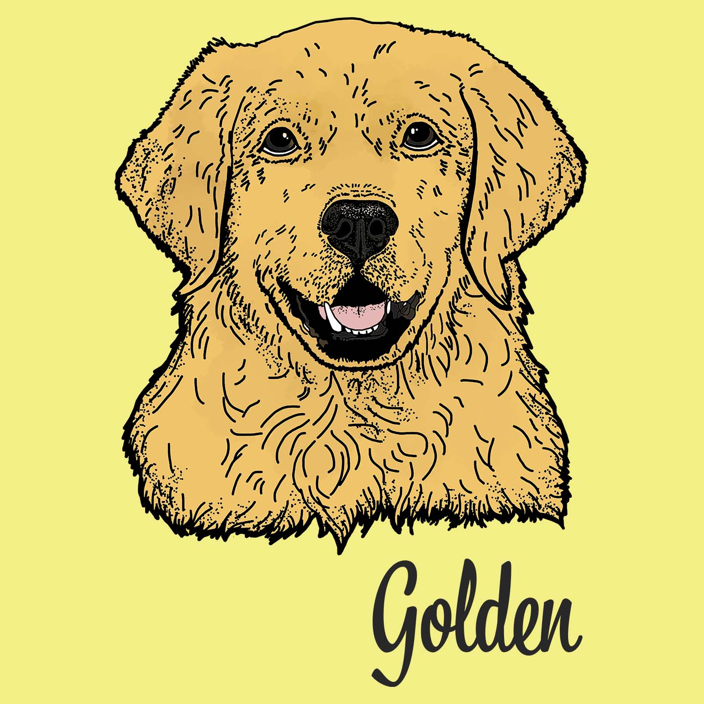 Golden Retriever Headshot - Women's Fitted T-Shirt