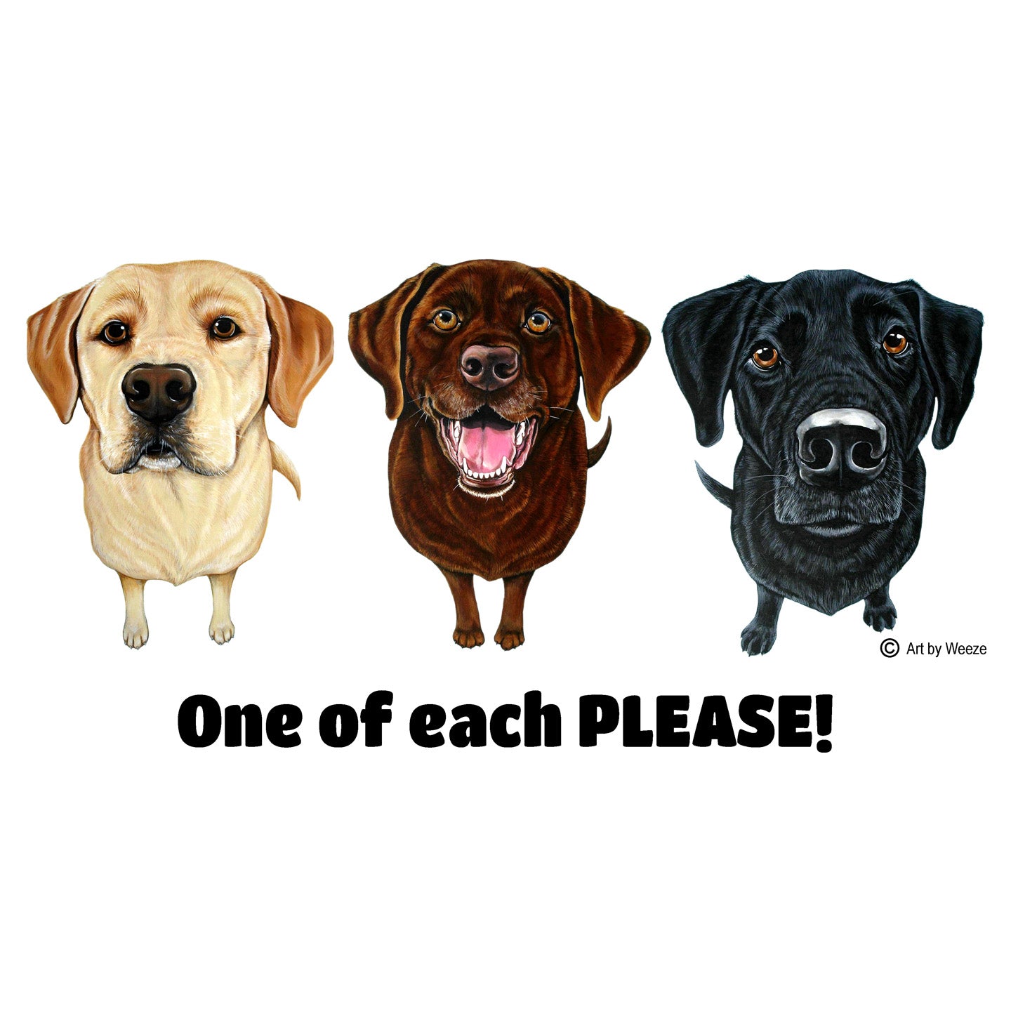 One of Each Labrador Please - Adult Unisex Hoodie Sweatshirt