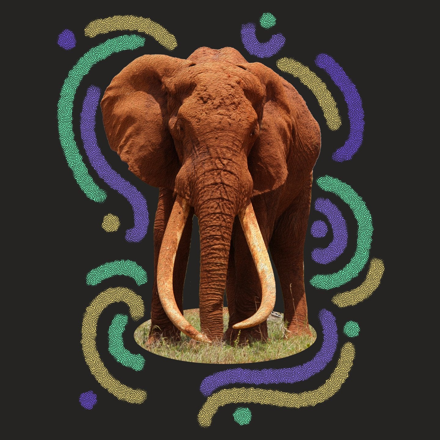 Wiggly Lines Elephant - Adult Tri-Blend T-Shirt