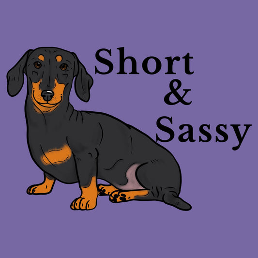 Short and Sassy - Women's Tri-Blend T-Shirt