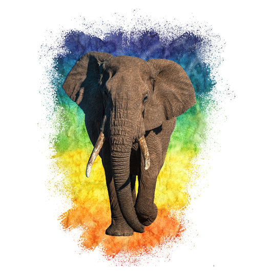 Elephant Rainbow - Adult Unisex Long Sleeve T-Shirt