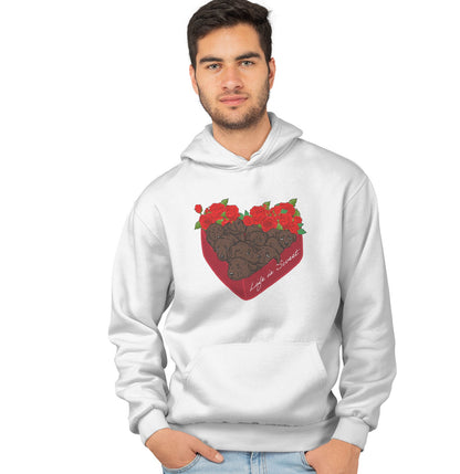 Box of Chocolate Labs - Adult Unisex Hoodie Sweatshirt