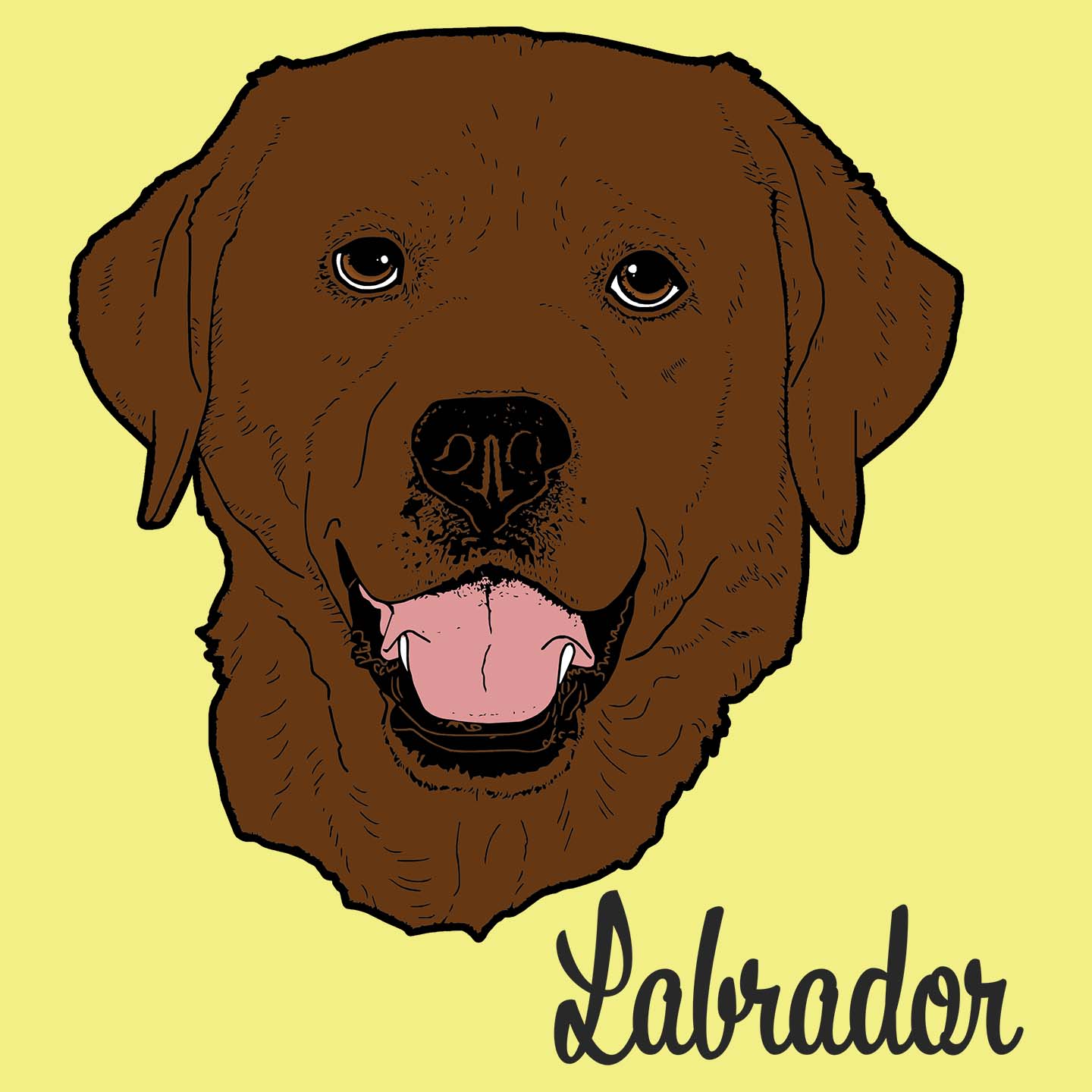 Chocolate Labrador Headshot - Women's Fitted T-Shirt