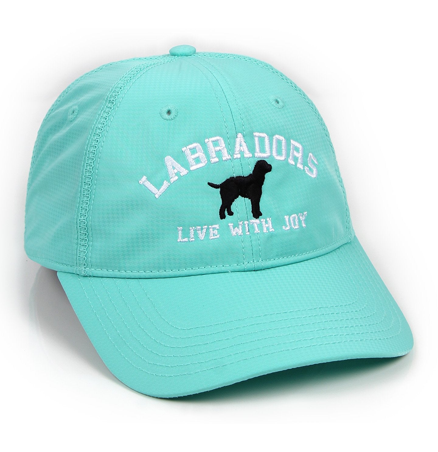 Animal Pride - Labradors Live With Joy (On Teal) - Ladies Polyester Houndstooth Hat