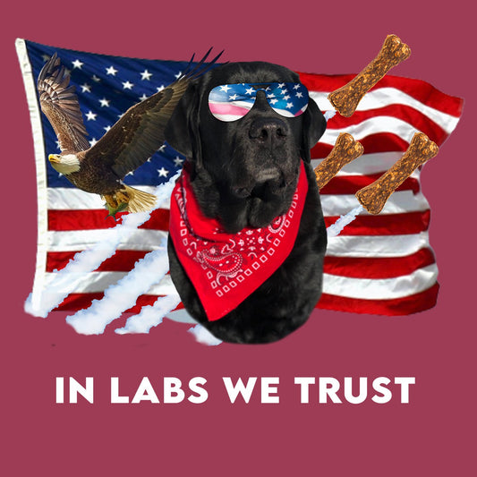 In Lab we Trust Black - Adult Unisex T-Shirt