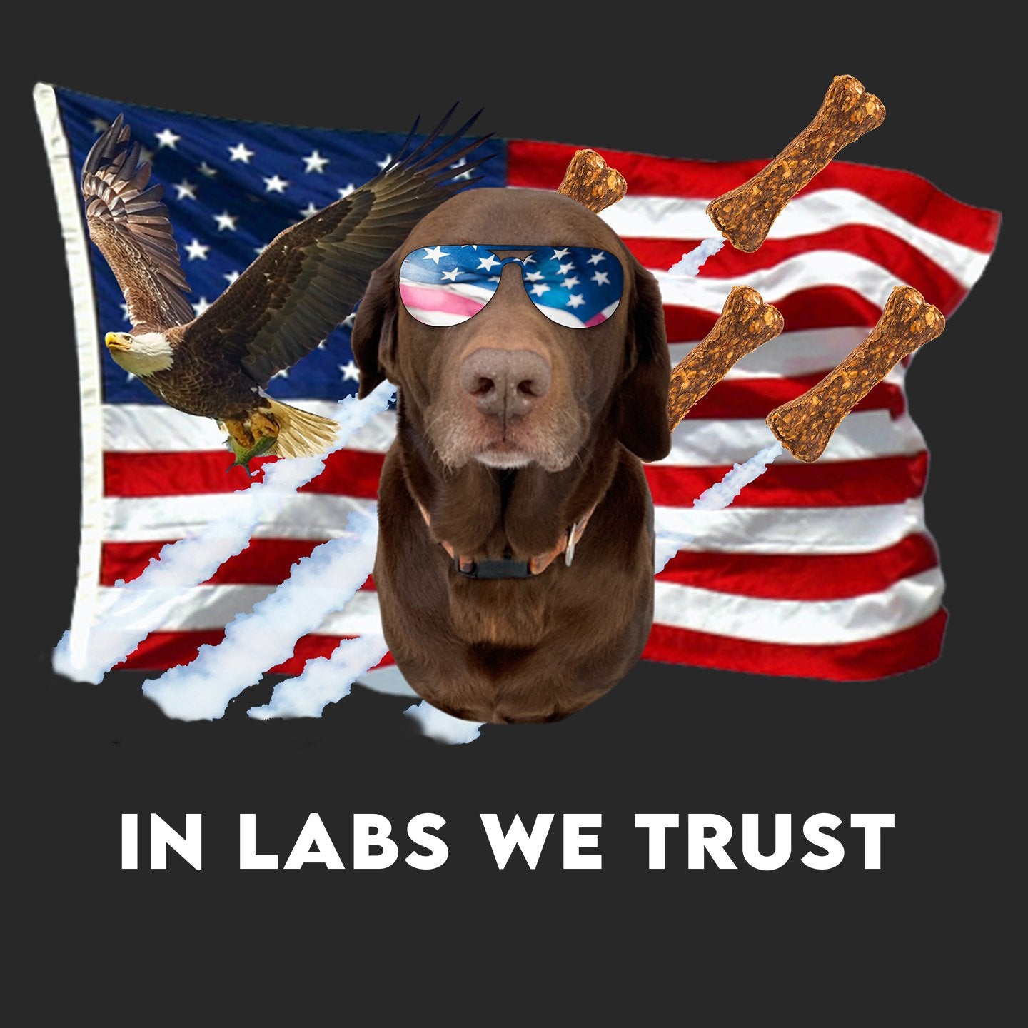 In Lab we Trust Chocolate - Women's V-Neck T-Shirt