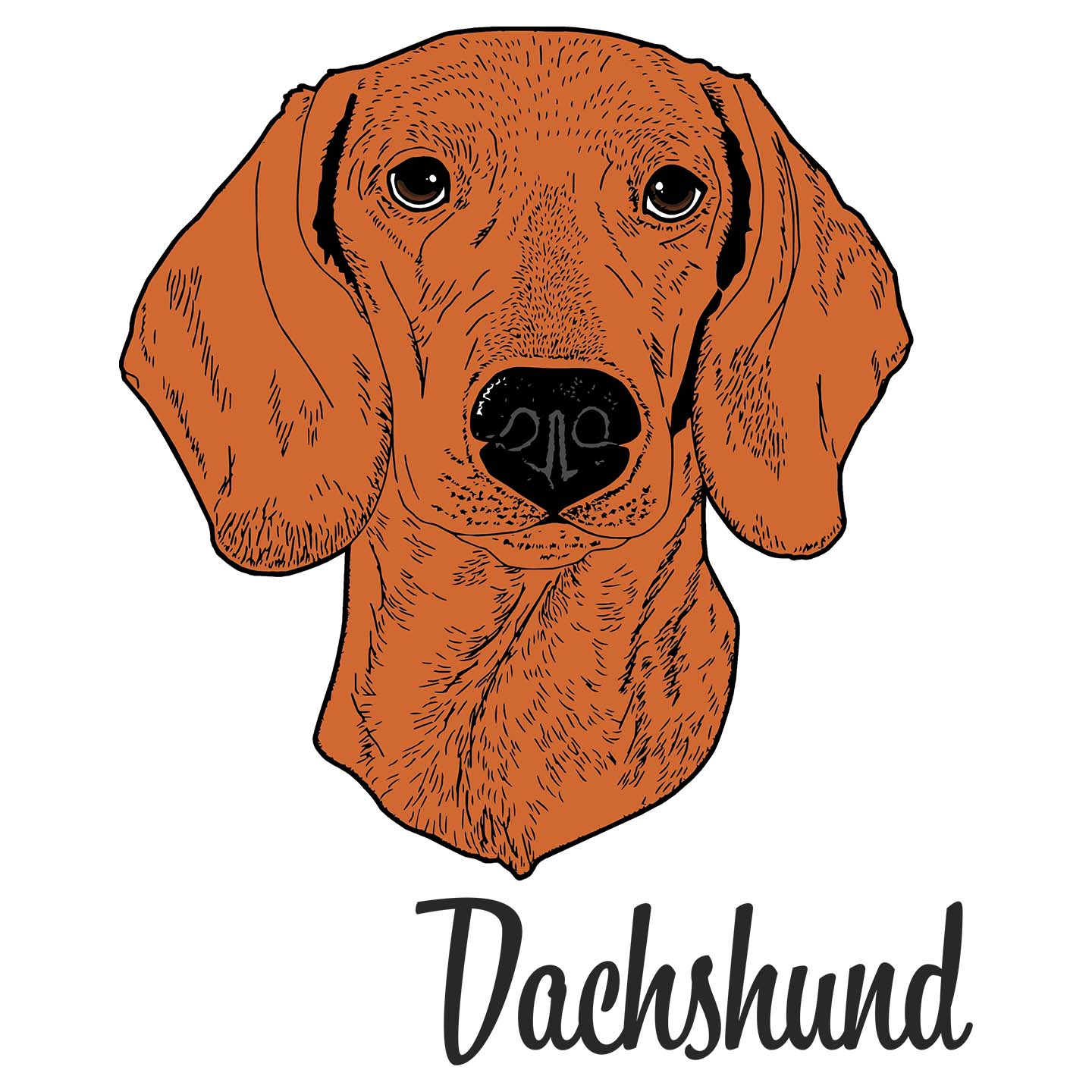 Red Dachshund Headshot - Adult Unisex Hoodie Sweatshirt