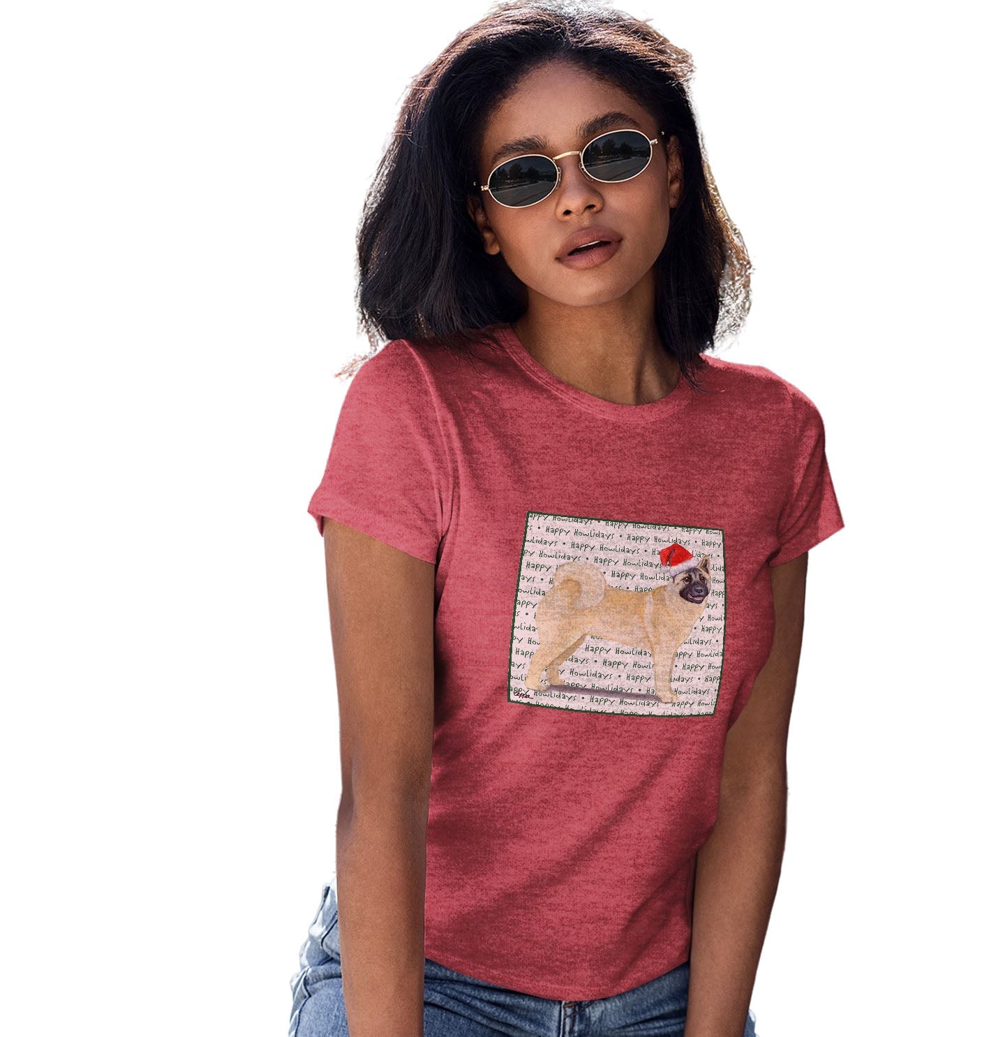 Akita Happy Howlidays Text - Women's Tri-Blend T-Shirt