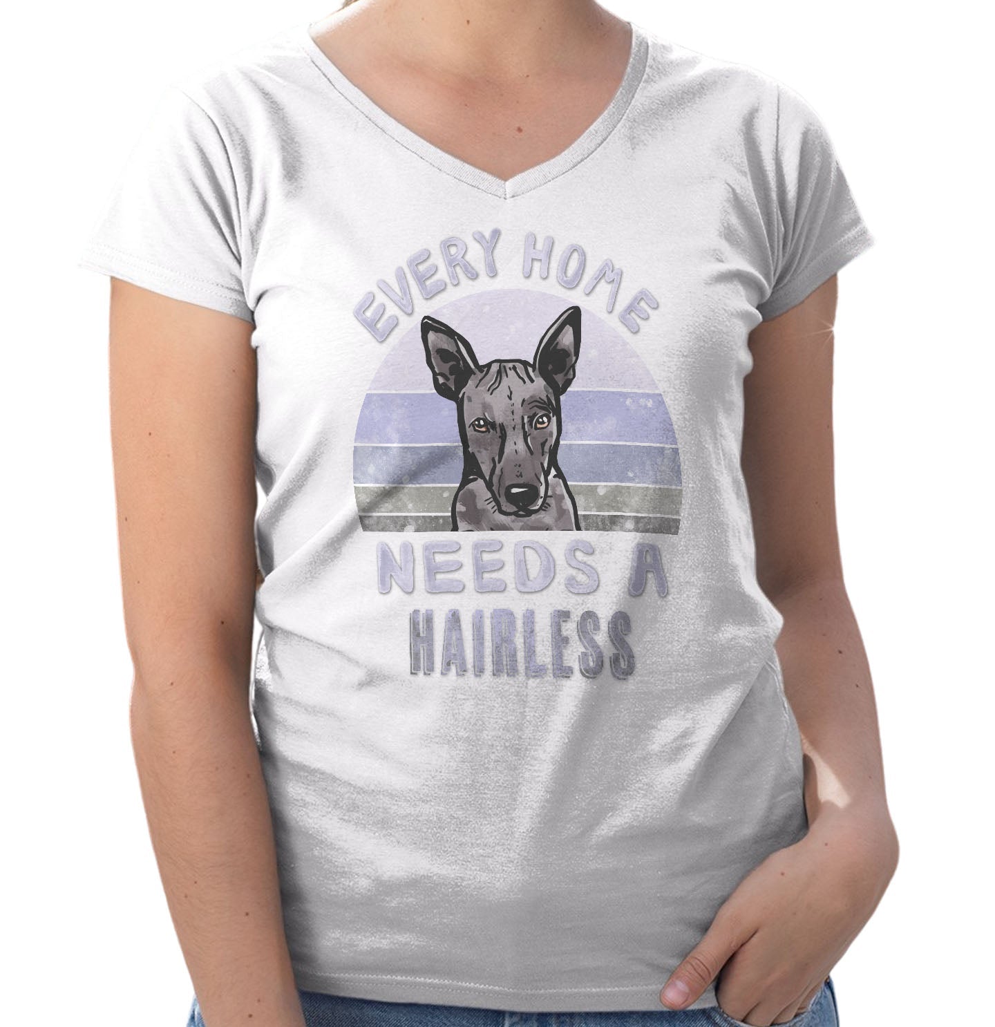 Every Home Needs a American Hairless Terrier - Women's V-Neck T-Shirt