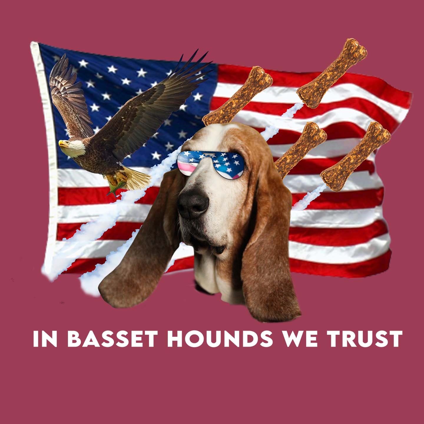 In Basset Hounds We Trust - Adult Unisex T-Shirt