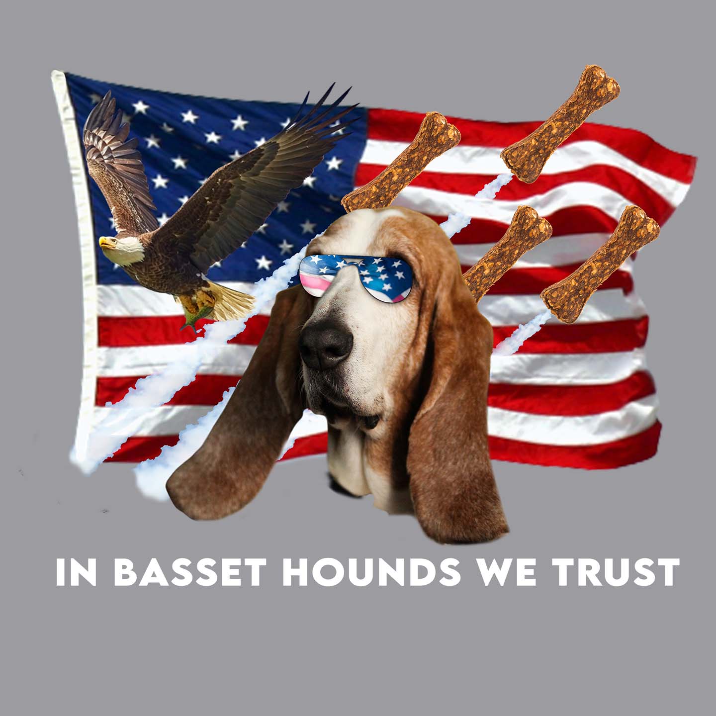 In Basset Hounds We Trust - Adult Unisex Hoodie Sweatshirt