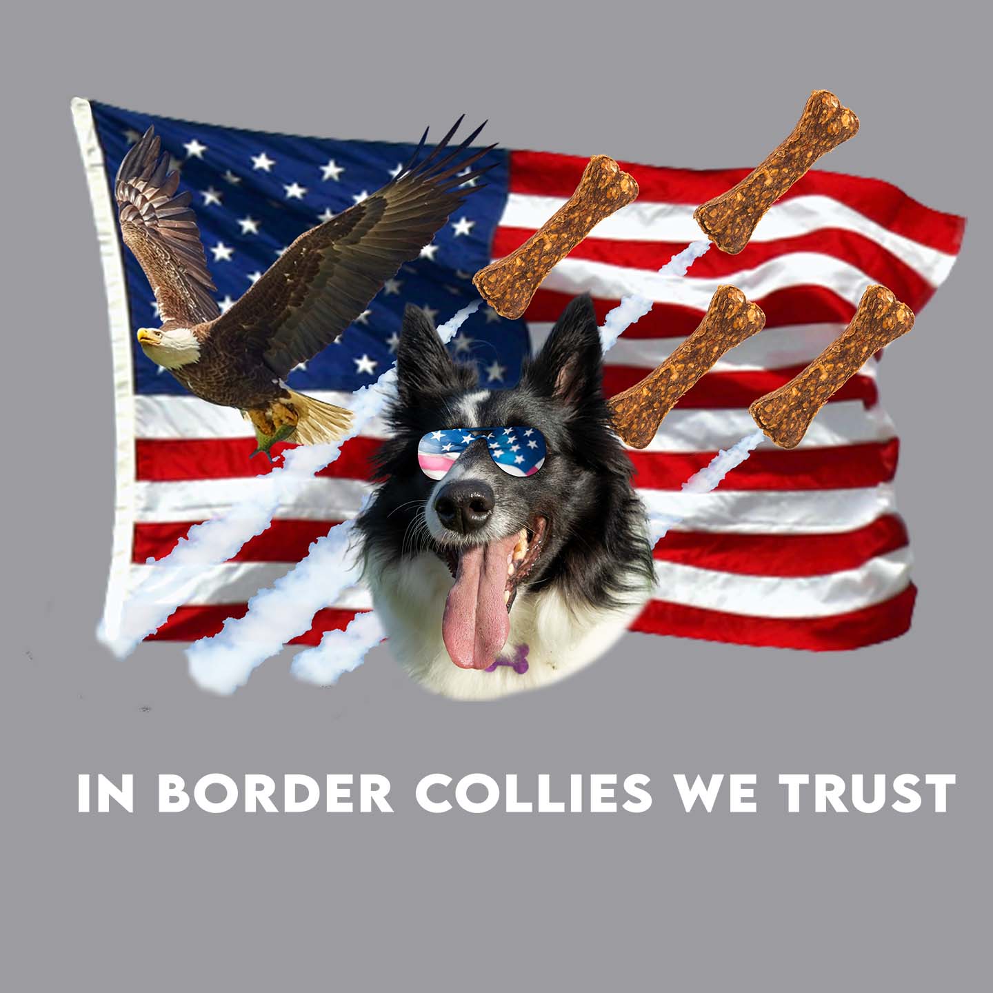 In Border Collies We Trust - Adult Unisex Hoodie Sweatshirt