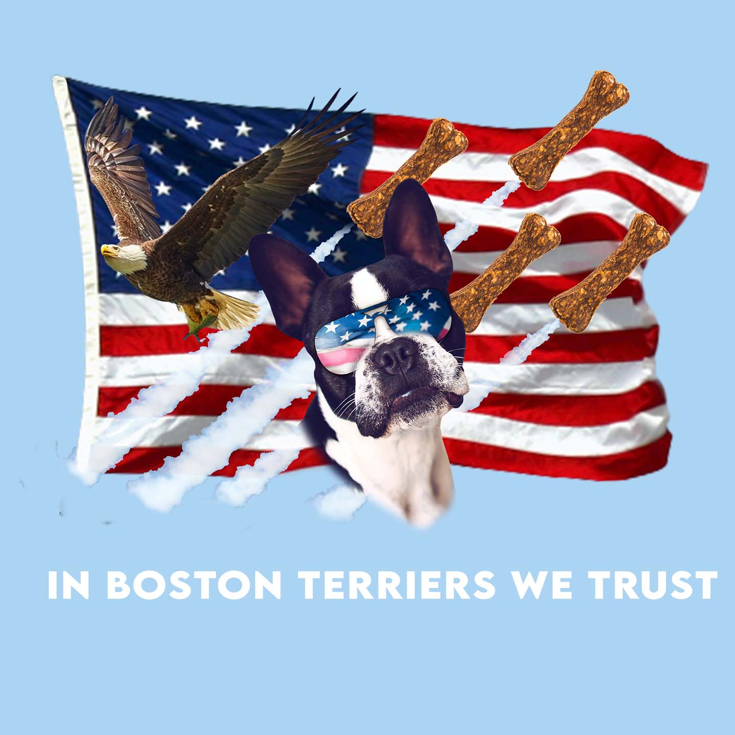 In Boston Terriers We Trust - Adult Unisex T-Shirt