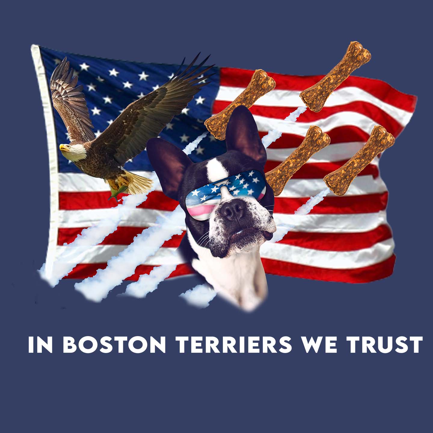 In Boston Terriers We Trust - Adult Unisex Hoodie Sweatshirt
