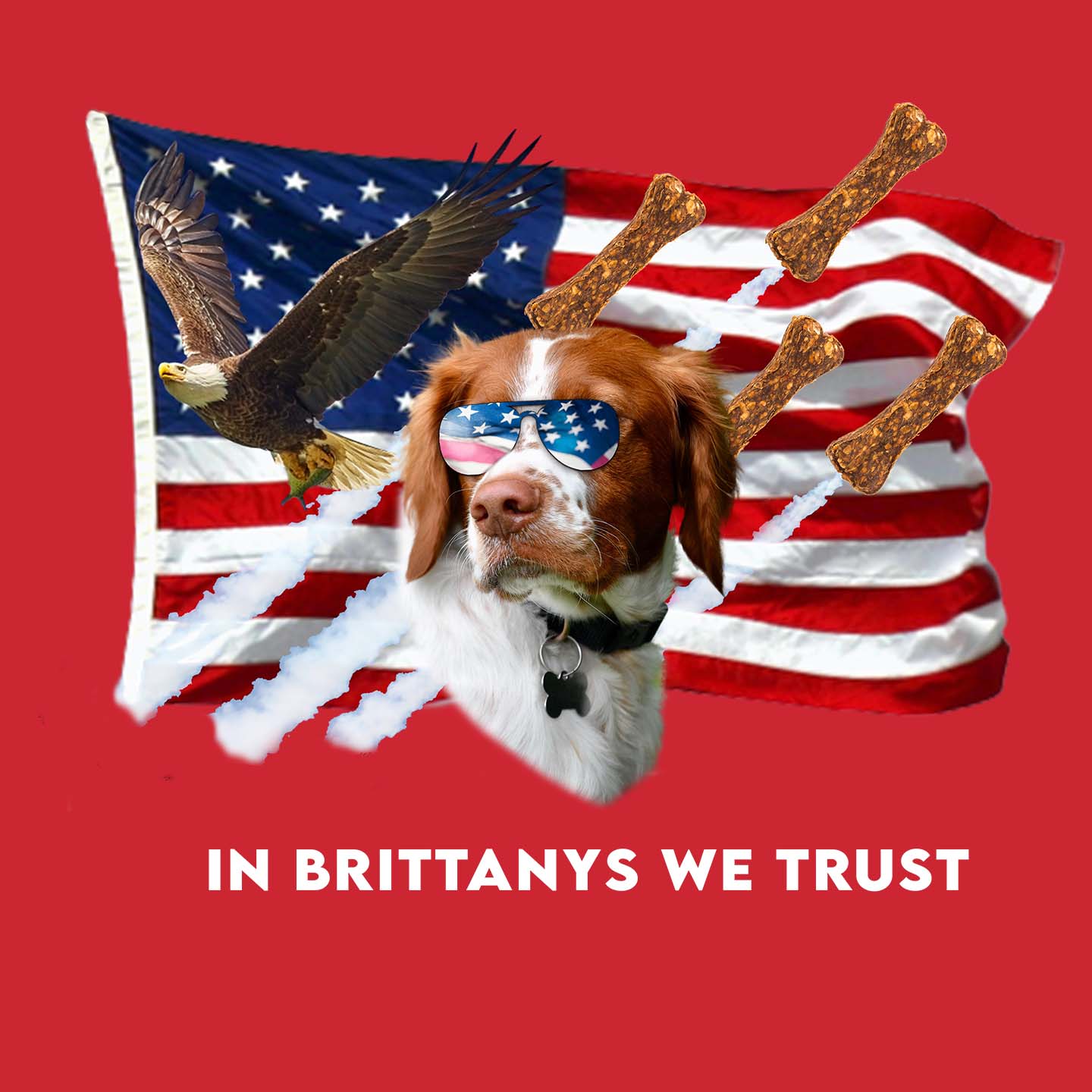 In Brittanys We Trust - Adult Unisex T-Shirt