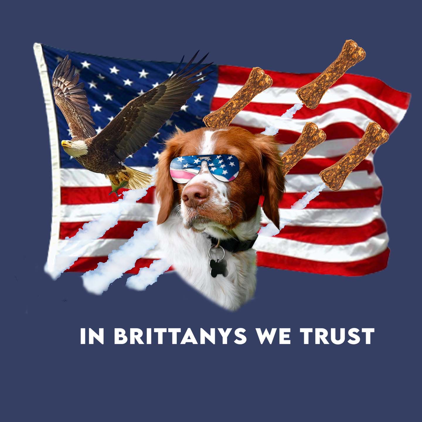 In Brittanys We Trust - Adult Unisex Hoodie Sweatshirt