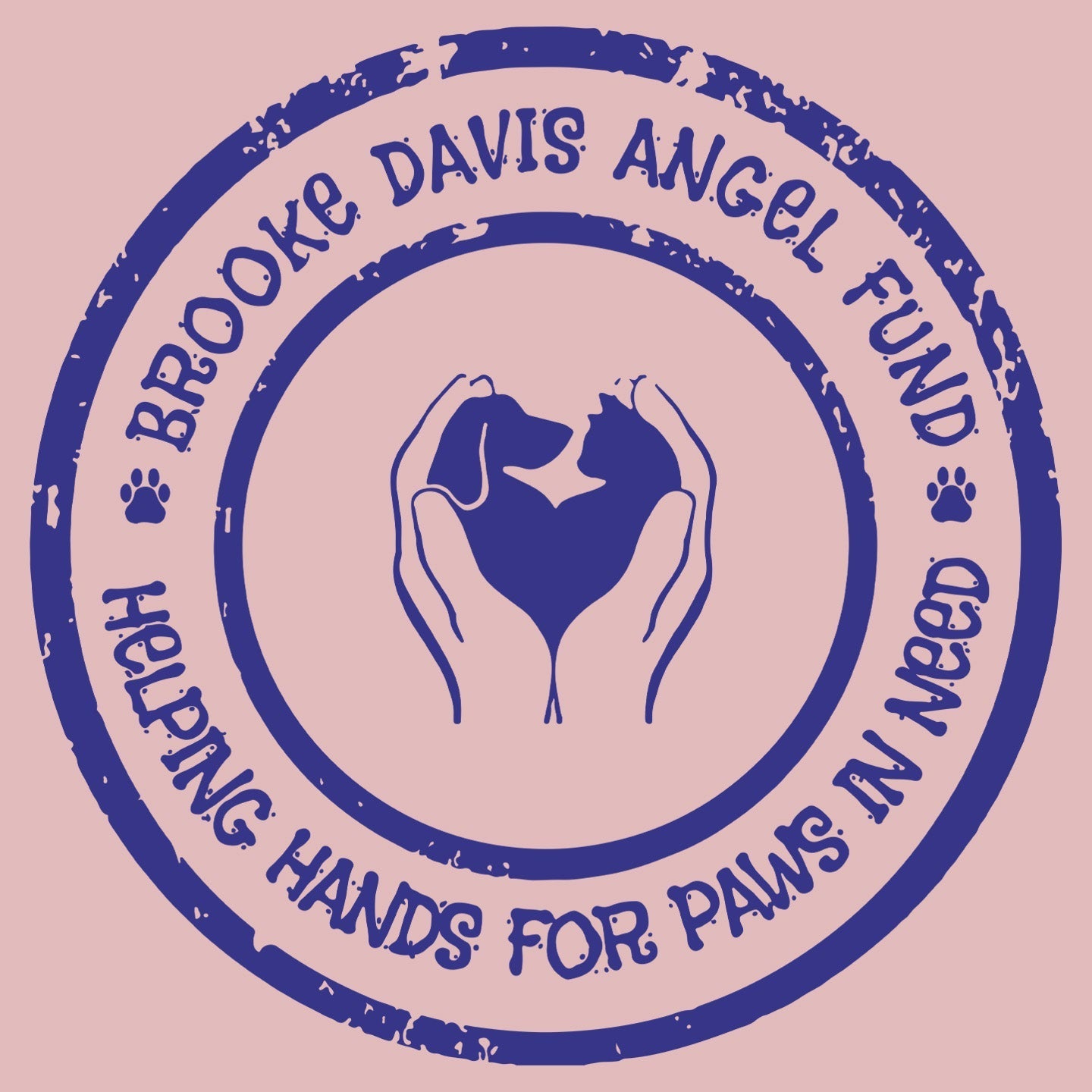 Brooke Davis Angel Fund Circle Logo LC - Women's V-Neck T-Shirt