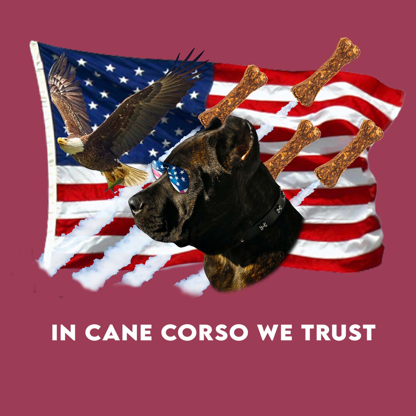 In Cane Corsos We Trust - Adult Unisex T-Shirt