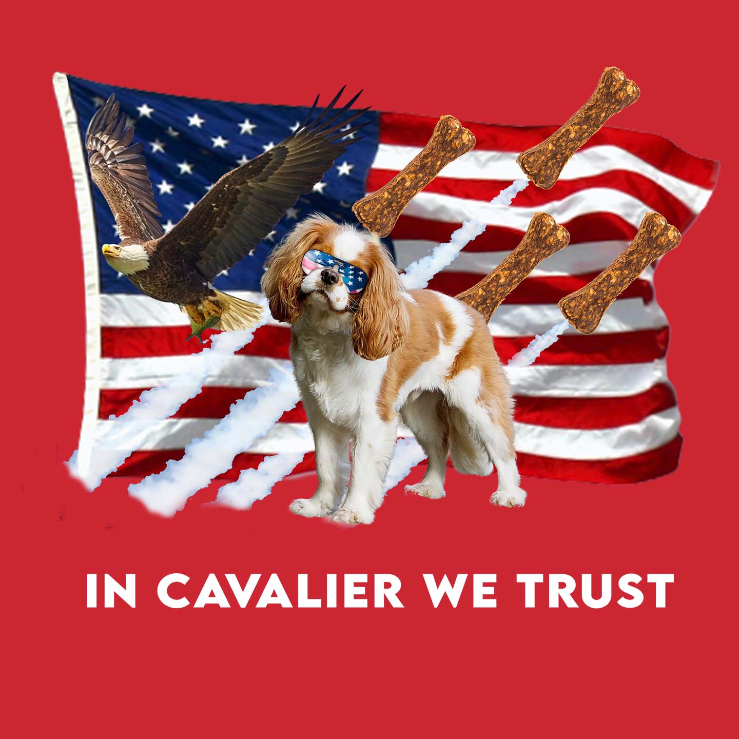 In Cavaliers We Trust - Adult Unisex T-Shirt