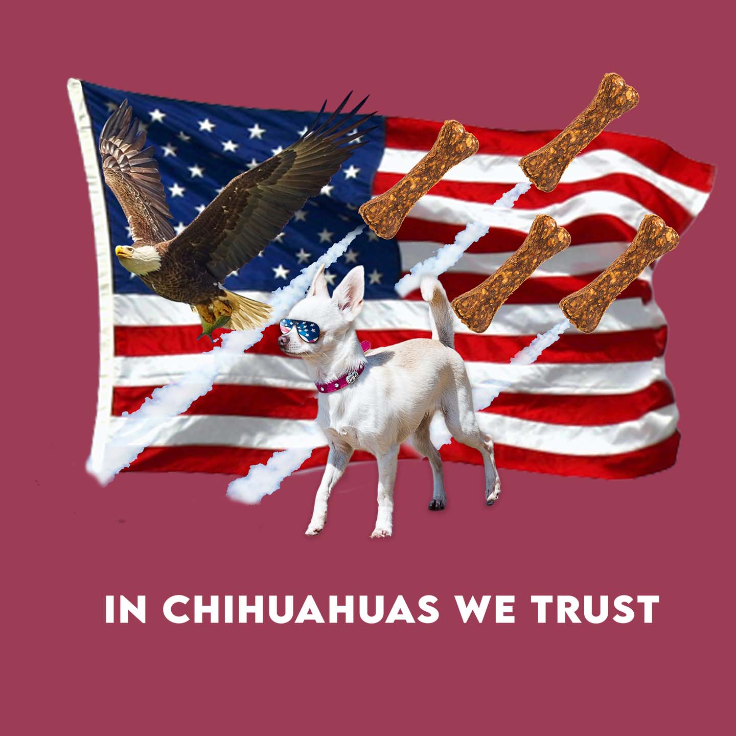 In Chihuahuas We Trust - Adult Unisex Hoodie Sweatshirt