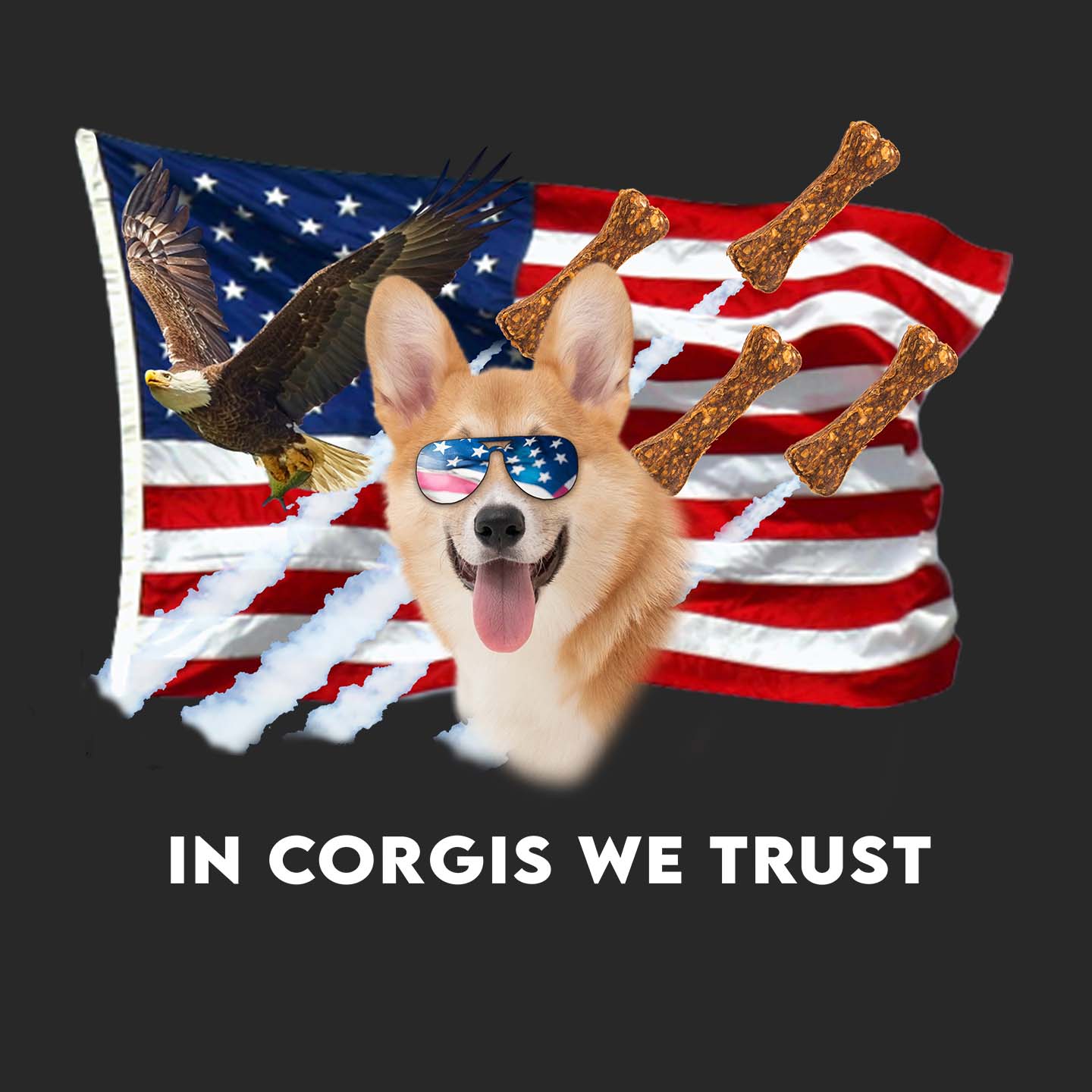 In Corgis We Trust - Adult Unisex Hoodie Sweatshirt