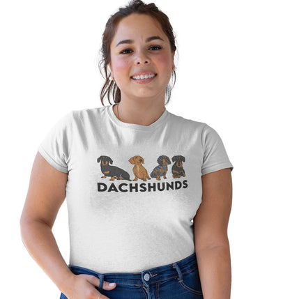 Dachshunds - Women's Tri-Blend T-Shirt