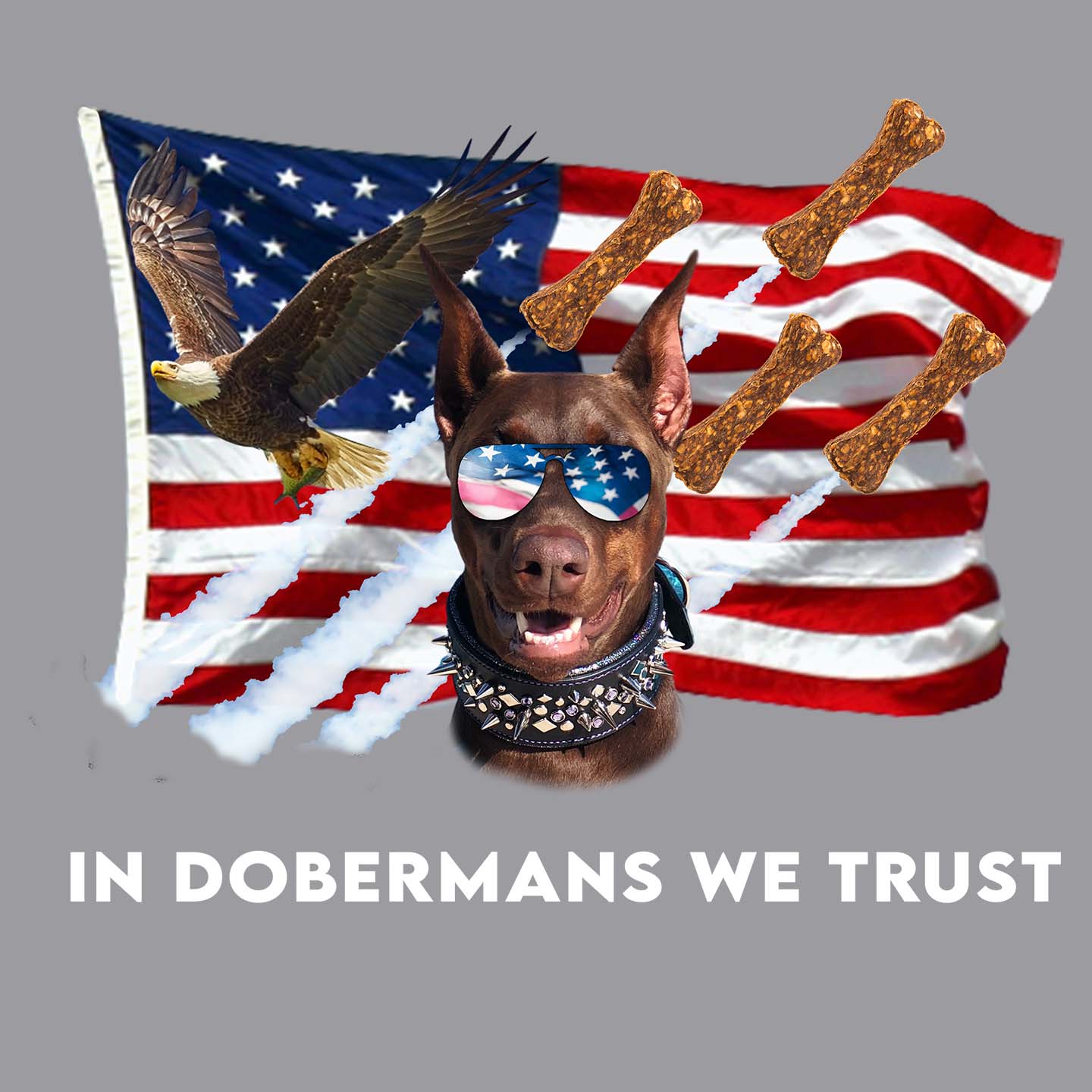 In Dobermans We Trust - Adult Unisex Hoodie Sweatshirt