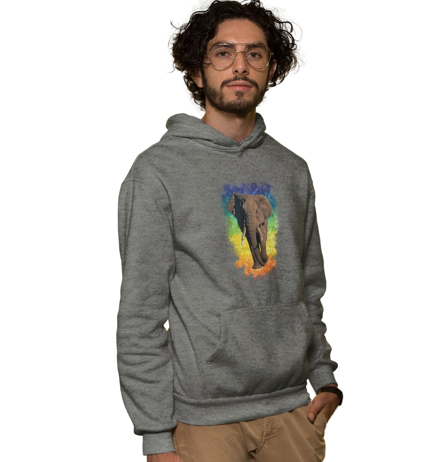 Elephant Rainbow - Adult Unisex Hoodie Sweatshirt