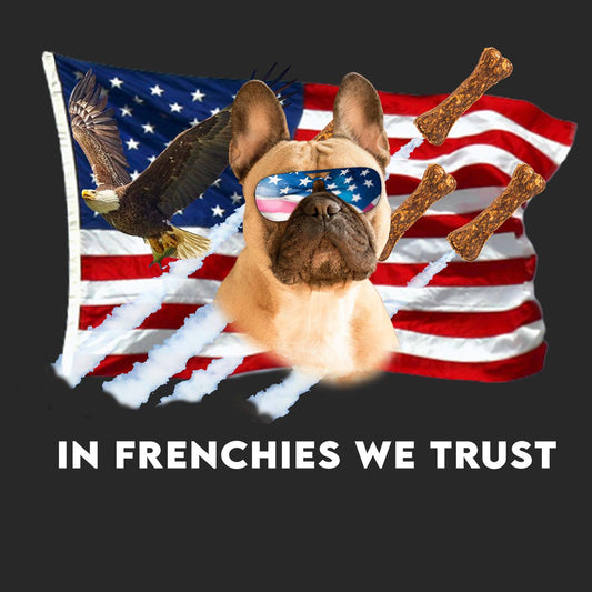 In Frenchies We Trust - Adult Unisex Hoodie Sweatshirt