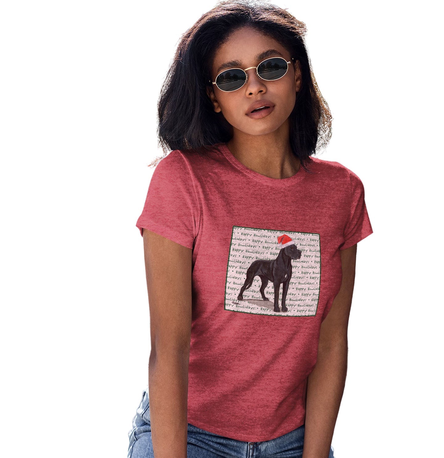 Great Dane Happy Howlidays Text - Women's Tri-Blend T-Shirt