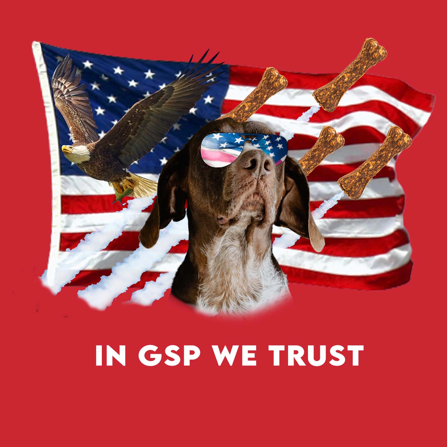 In GSPs We Trust - Adult Unisex T-Shirt