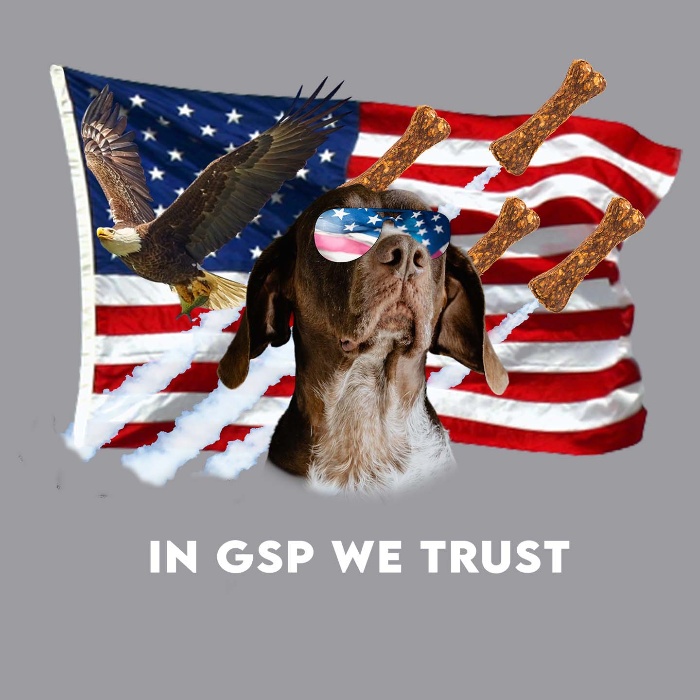 In GSPs We Trust - Adult Unisex Hoodie Sweatshirt