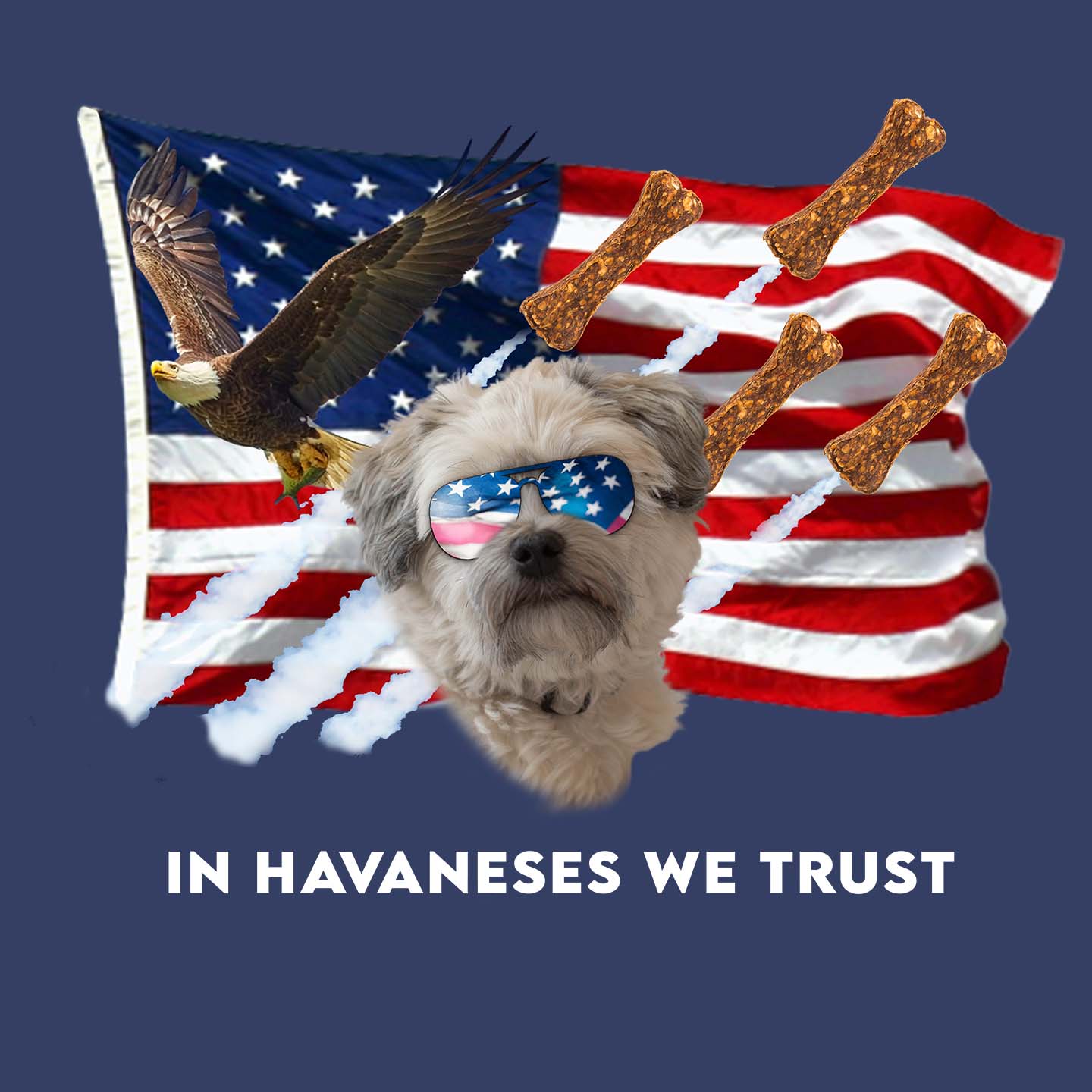 In Havaneses We Trust - Adult Unisex Crewneck Sweatshirt