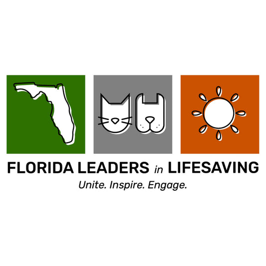 JHS Florida Leaders in Lifesaving - Women's Tri-Blend T-Shirt