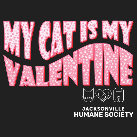 JHS My Cat Is My Valentine - Women's V-Neck T-Shirt