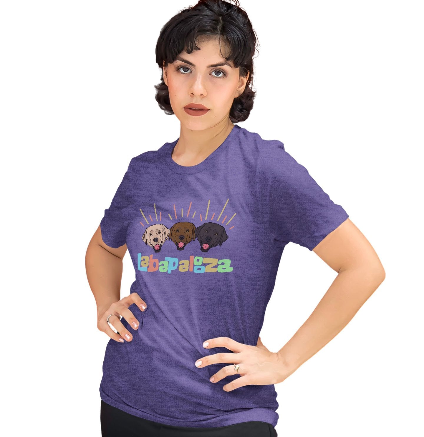 Labapalooza (Labradors) - Women's Tri-Blend T-Shirt